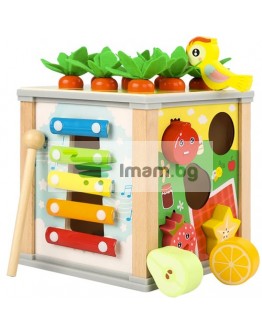 Дървен многофункционален сортер куб 5в1